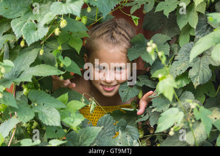 Petite fille peeping dans le verdure dans la serre. Banque D'Images