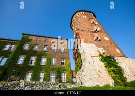 La colline du Wawel, la cathédrale avec Château à Cracovie, Pologne. Banque D'Images