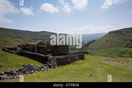 Swaledale supérieure de Crackpot Hall, entre Muker et Keld dans Yorkshire du Nord, Angleterre Banque D'Images