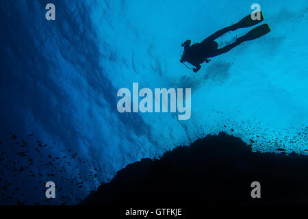 Plongeurs dans l'eau claire à côté d'un récif Banque D'Images