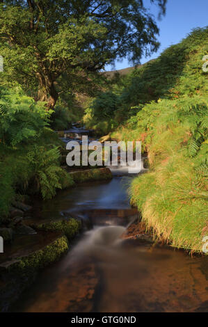 Dans le Peak District Fairbrook Banque D'Images