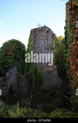 Forteresse de Largoet, Elven, Morbihan, Bretagne, France Banque D'Images