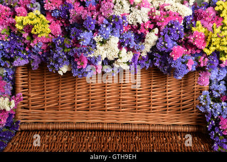 Bouquet de fleurs sauvages en différentes couleurs Banque D'Images