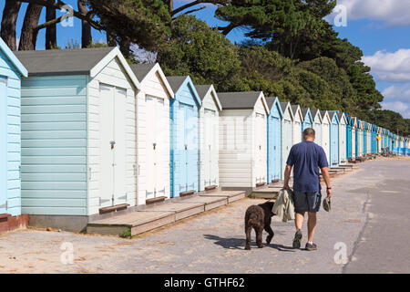 Homme marchant chien devant des cabanes de plage lors d'une chaude journée ensoleillée à Avon Beach, Mudeford, Christchurch, Dorset Royaume-Uni en septembre Banque D'Images