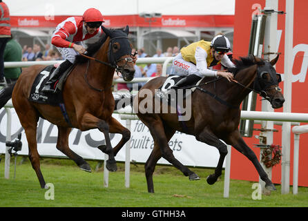 Sheikhzayedroad monté par Martin Harley (à gauche) bat quête de plus montée par George Baker (à droite) pour gagner la 250e Coupe de Doncaster (groupe 2) au cours de la troisième journée du Festival 2016 St Leger Ladbrokes à Hippodrome de Doncaster, Doncaster. Banque D'Images