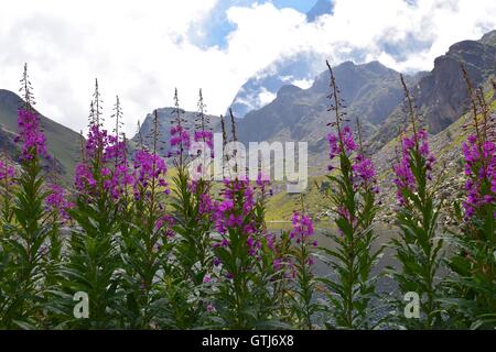 Beau lac glaciaire caché entre les montagnes, Piémont, Italie. Marco Imazio © Banque D'Images