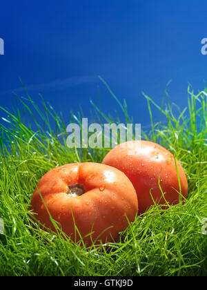 Deux tomates biologiques dans l'herbe verte sous ciel bleu nourriture artistique still life Banque D'Images