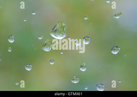 Gouttes de pluie sur une vitre. Banque D'Images