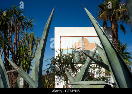 L'Aloe Vera Cactus, un graffiti sur un mur en Sant Ferran de ses Roques, Majorque, Iles Baléares, Espagne. Mer Méditerranée. Banque D'Images