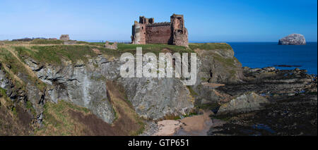 Un jour paysage vue sur le Château de Tantallon et Bass Rock près de North Berwick en Écosse Banque D'Images