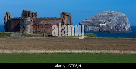 Un jour paysage vue sur le Château de Tantallon et Bass Rock près de North Berwick en Écosse Banque D'Images