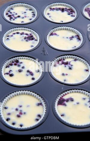 Blueburry non cuits muffins dans tin Banque D'Images