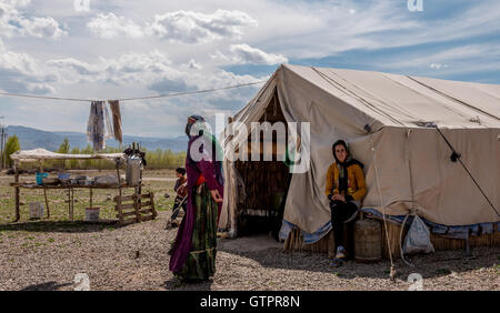 Un peuple nomade Qashqai famille vivant dans une tente dans la province du Fars, en Iran. Banque D'Images