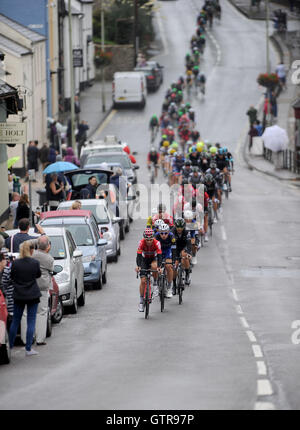 Honiton, Devon, Royaume-Uni, le 9 septembre 2016. Le Tour de Bretagne, l'étape 6 à Sidmouth The Haytor. Le peloton de baisser la tête un pluvieux et venteux Honiton High Street. Crédit : David Partridge / Alamy Live News Banque D'Images