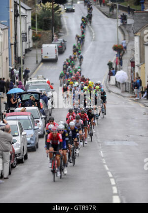 Honiton, Devon, Royaume-Uni, le 9 septembre 2016. Le Tour de Bretagne, l'étape 6 à Sidmouth The Haytor. Le peloton de baisser la tête un pluvieux et venteux Honiton High Street. Crédit : David Partridge / Alamy Live News Banque D'Images