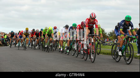 Bristol, Royaume-Uni. 10 Sep, 2016. Tour de Bretagne à vélo, l'étape 7a, Bristol. Le peloton principal lors de l'Étape 7 : Action Crédit Plus Sport/Alamy Live News Banque D'Images