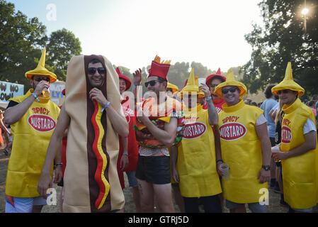 Berlin, Allemagne. 10 Sep, 2016. Les visiteurs du festival célébrer au festival de musique Lollapalooza à Berlin, Allemagne, 10 septembre 2016. PHOTO : BRITTA PEDERSEN/dpa/Alamy Live News Banque D'Images