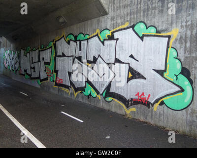 Un tunnel plein de graffiti pour la marche et le vélo Banque D'Images