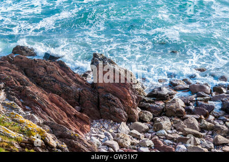 Affleurement de pourpre rougeâtre mudstone du Dévonien inférieur (partie de la Formation de Whitsand Bay) à Wembury Beach dans le Devon, Angleterre Banque D'Images