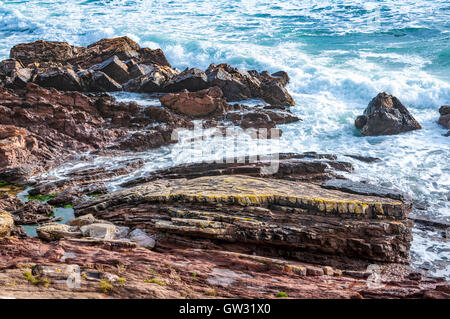 Les mudstones violet rougeâtre et siltstones gris-vert du Dévonien inférieur de la formation sur l'affleurement de Whitsand Bay Beach, Devon Wembury Banque D'Images