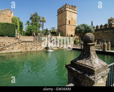 Cordoba, Cordoue, Andalousie, province du sud de l'Espagne. L'étang dans les jardins de l'Alcazar des Rois Chrétiens. Banque D'Images