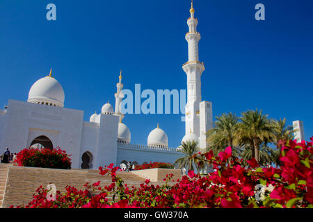 La grande mosquée de marbre à Abu Dhabi Banque D'Images