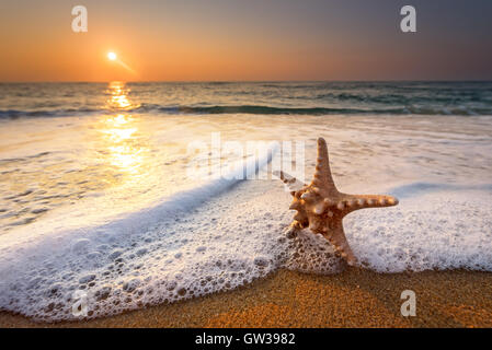 Étoile de mer étoile de mer sur plage, mer bleue et heure du lever. Banque D'Images