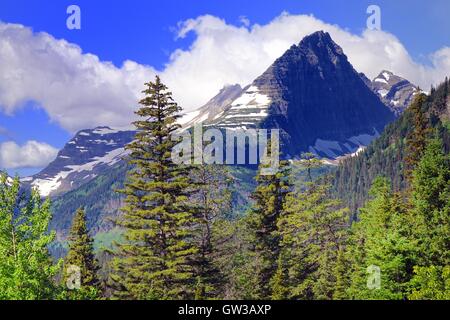 La montagne couverte de neige, Glacier National Park, Montana Banque D'Images