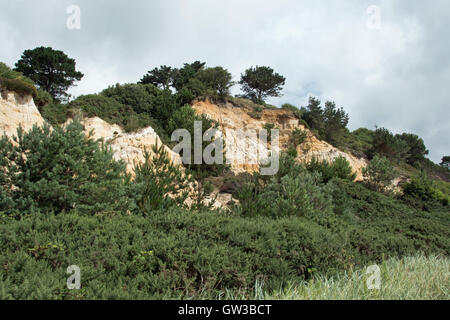 Branksome Chine Canford Cliffs, surplombant la baie, Poole, Dorset, UK Banque D'Images