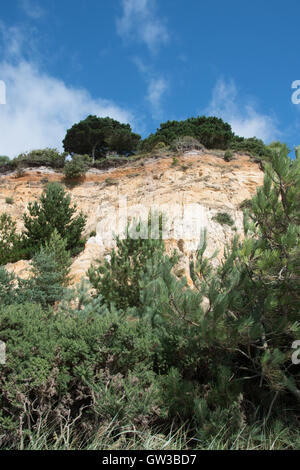 Branksome Chine Canford Cliffs, surplombant la baie, Poole, Dorset, UK Banque D'Images