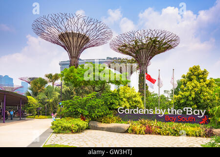 Gardens by the Bay à Singapour. Banque D'Images