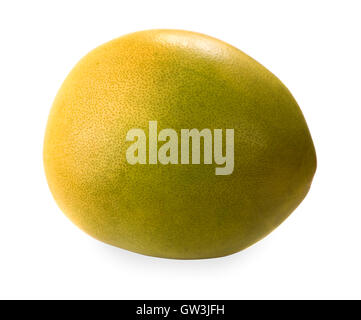 Pomelo isolé sur fond blanc Banque D'Images