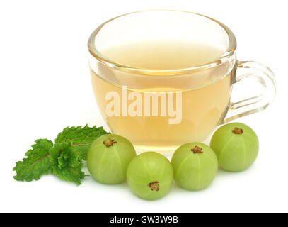 Tisane dans une tasse avec l'amla et de feuilles de menthe Banque D'Images