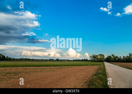 Un orage en soirée dans la campagne italienne Banque D'Images