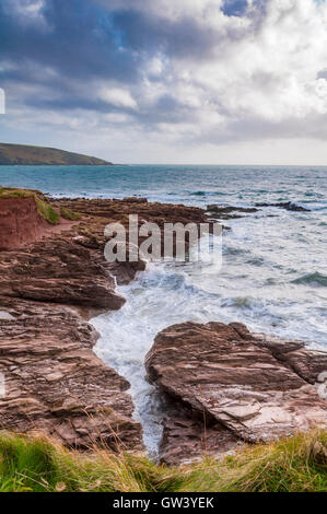 Affleurement de pourpre rougeâtre mudstone du Dévonien inférieur (partie de la Formation de Whitsand Bay) à Wembury Beach dans le Devon, Angleterre Banque D'Images