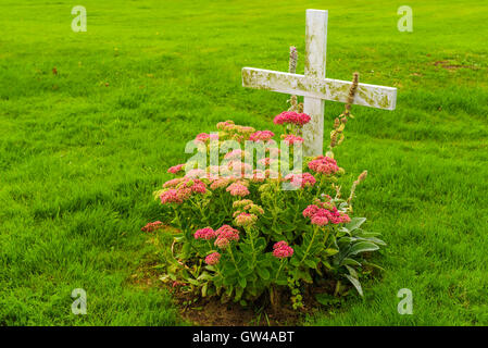 Blanche en bois et les fleurs rouges sur une petite tombe entouré d'herbe. Banque D'Images