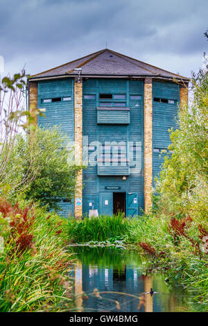 Peacock tour à Wetland Centre Barnes London Banque D'Images