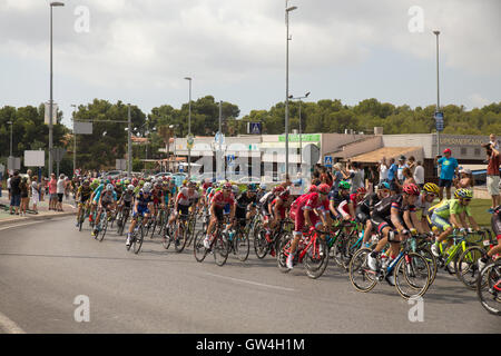 La Nucia, Espagne. 10 Septembre, 2016. Cyclistes Professionnels autour d'un rond-point sur la scène 20 de la tour espagnol connu sous le nom de 'La Vuelta' Credit : Olaf Speier/Alamy Live News Banque D'Images