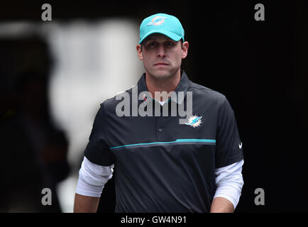 Seattle, FL, USA. Sep 11, 2016. L'entraîneur-chef des Dolphins de Miami Adam prend la Gase champ avant le jeu. Miami Dolphins vs Seattle Seahawks. Champ CenturyLink. Seattle, WA. 9/11/16. Photographe Jim Rassol.South Florida ; pas de MAGS ; PAS DE VENTES, PAS D'INTERNET, PAS DE TÉLÉVISION. Credit : Sun-Sentinel/ZUMA/Alamy Fil Live News Banque D'Images