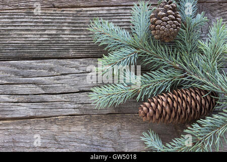 Des cônes de pin et aiguilles de Noël sur fond de bois Banque D'Images