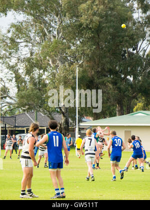 Le football australien, WAAFL Grade D Grand jeu final entre la Trinity d'Aquin et d'Amérique du Fremantle. Banque D'Images