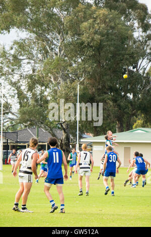 Le football australien, WAAFL Grade D Grand jeu final entre la Trinity d'Aquin et d'Amérique du Fremantle. Banque D'Images