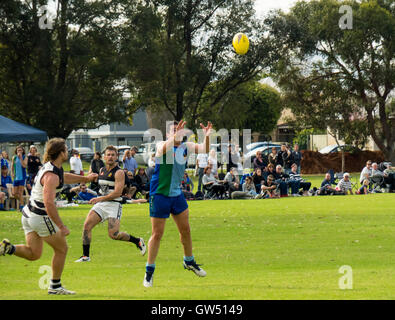 Le football australien, WAAFL Grade D Grand jeu final entre la Trinity d'Aquin et d'Amérique du Fremantle. Banque D'Images