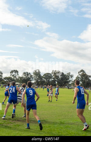 Le football australien, WAAFL Grade D Grand jeu final entre la Trinity d'Aquin et d'Amérique du Fremantle. Banque D'Images