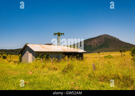 Old shed le long de l'autoroute Cunningham avec Mont Alford en arrière-plan, Boonah, Queensland, Australie Banque D'Images