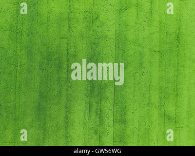 Vue aérienne de l'agriculture champ de riz Banque D'Images