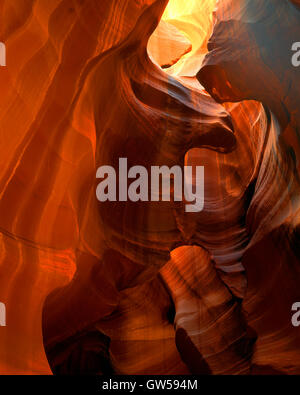 Slot Canyon dans le Canyon Antelope, Navajo Nation, Arizona USA, par Willard Clay/Dembinsky Assoc Photo Banque D'Images