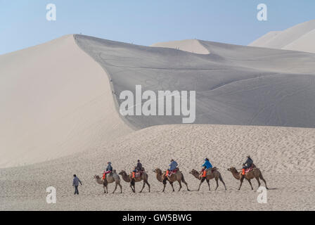 Caravane de chameaux dans le désert de Gobi Banque D'Images