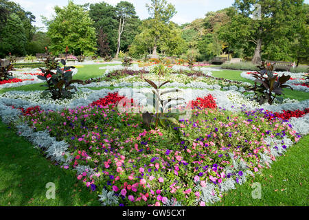 Fleur officielle lits et literie plantes pour la vente dans le parc des jardins botaniques ' Southport, Merseyside, Royaume-Uni. Banque D'Images