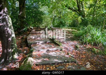 Un chemin menant à l'écart avec les étapes et les premiers signes de l'automne la chute des feuilles sur le sol, Southport, Merseyside, Royaume-Uni. Banque D'Images